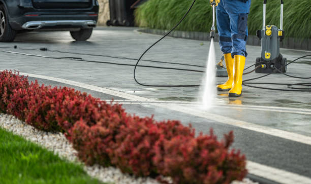 Best Roof Pressure Washing  in North Hornell, NY
